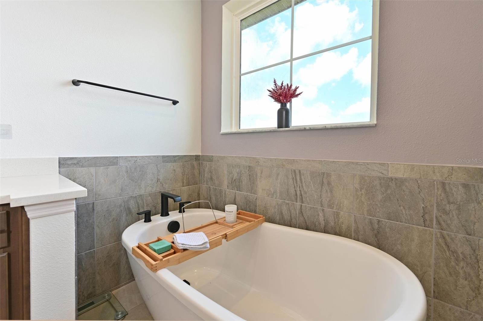 11124 MOONSAIL DR — photo 29