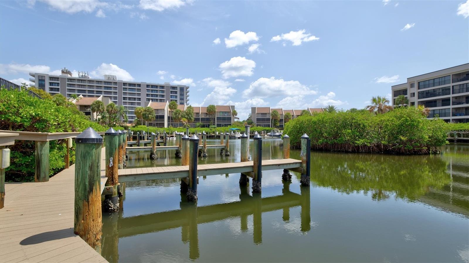 1700 COVE II PL #310 — photo 48