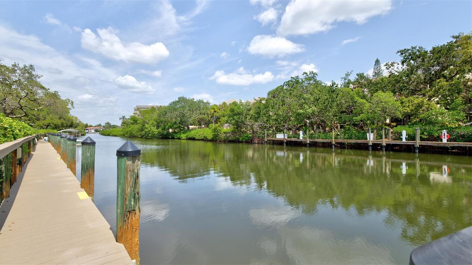 1700 COVE II PL #310 — photo 47