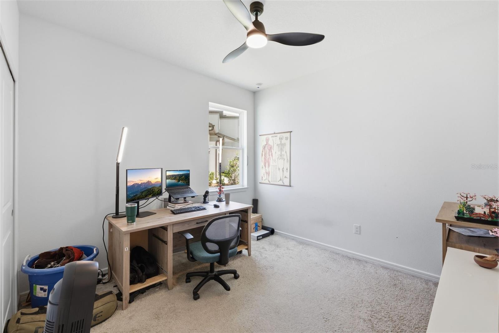12071 ORCHID ASH ST — photo 21