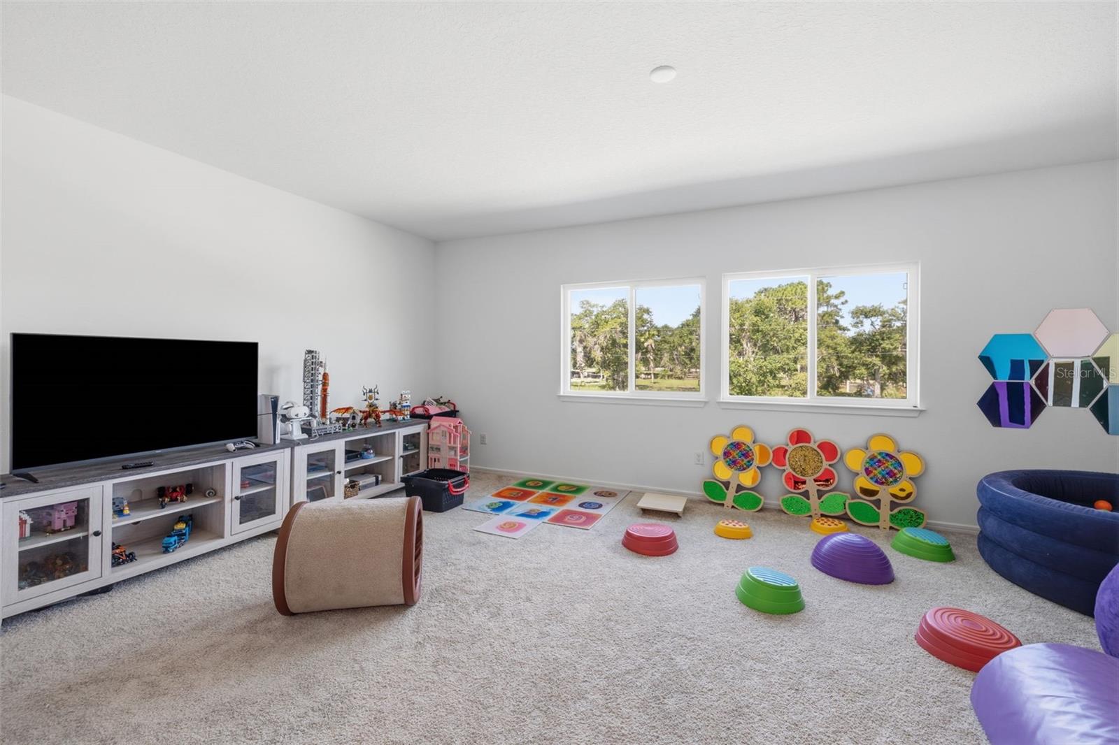 12071 ORCHID ASH ST — photo 25
