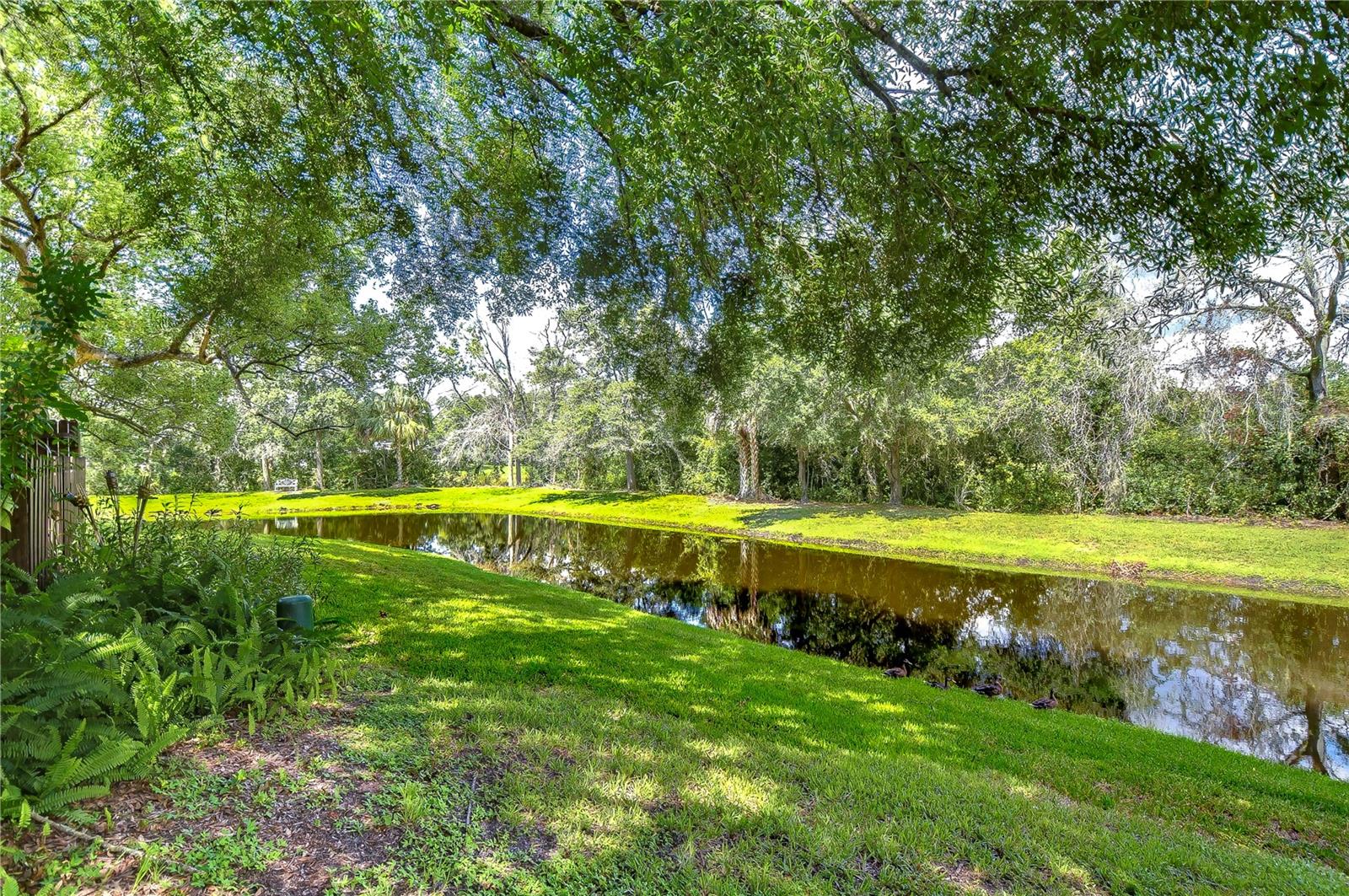 13937 FLETCHERS MILL DR — photo 43