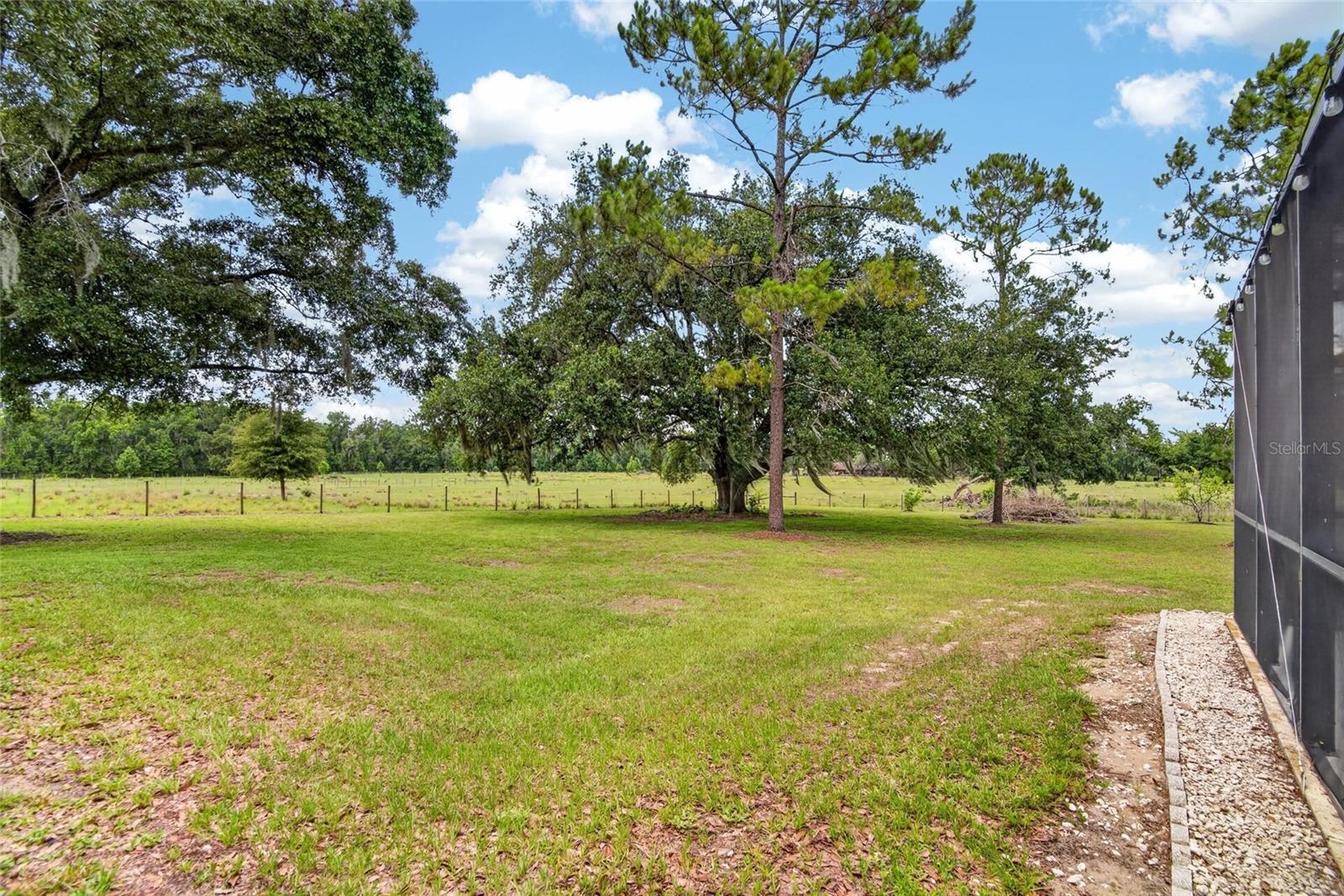 3708 JOE SANCHEZ RD — photo 61