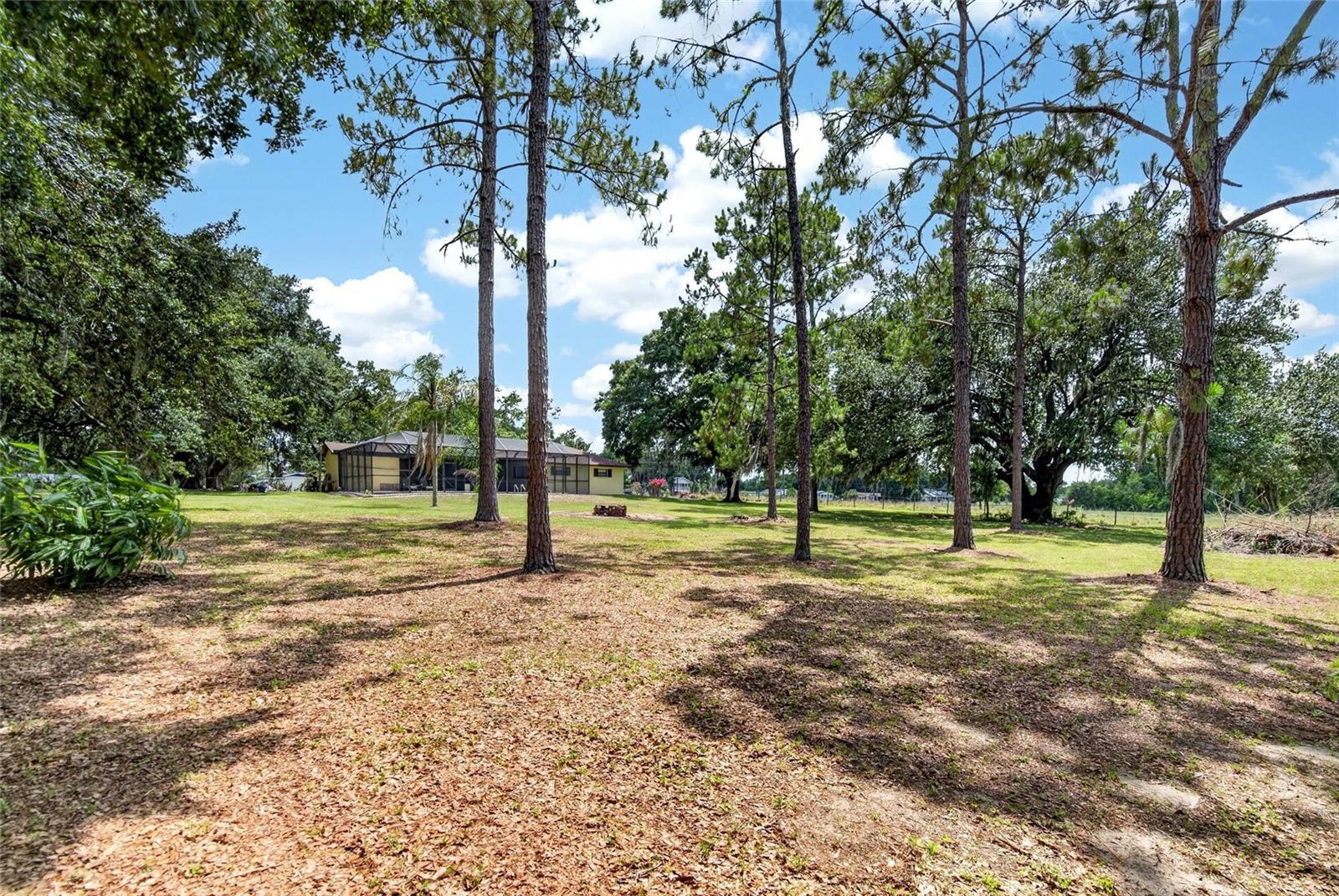 3708 JOE SANCHEZ RD — photo 68