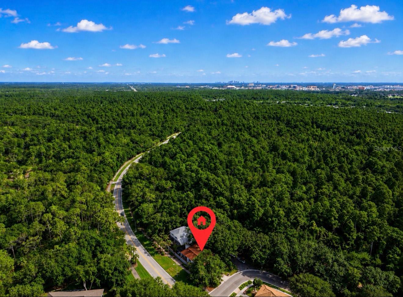 5204 GREEN FOREST CT — photo 40