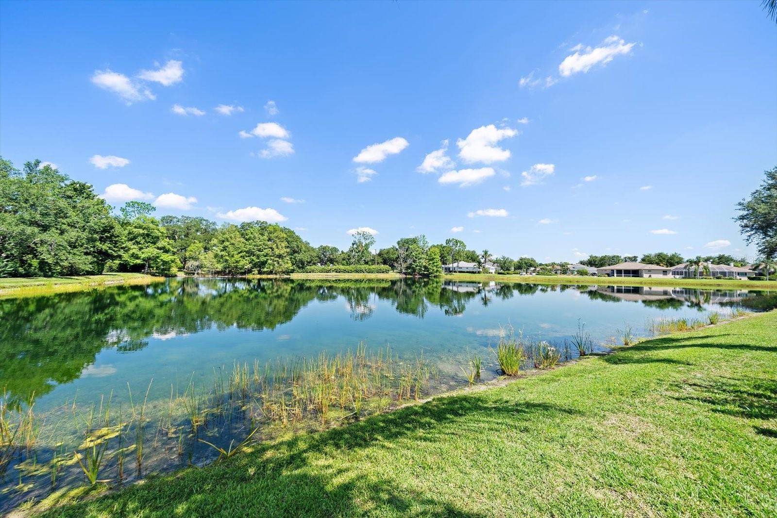 11909 SUMMER MEADOW DR — photo 49