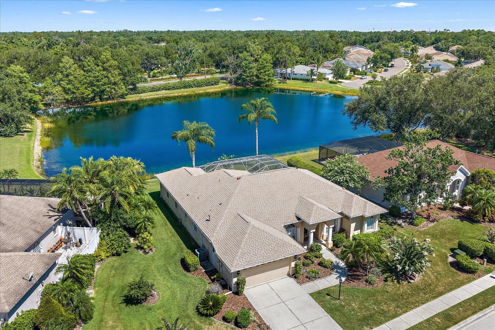 11909 SUMMER MEADOW DR — photo 42