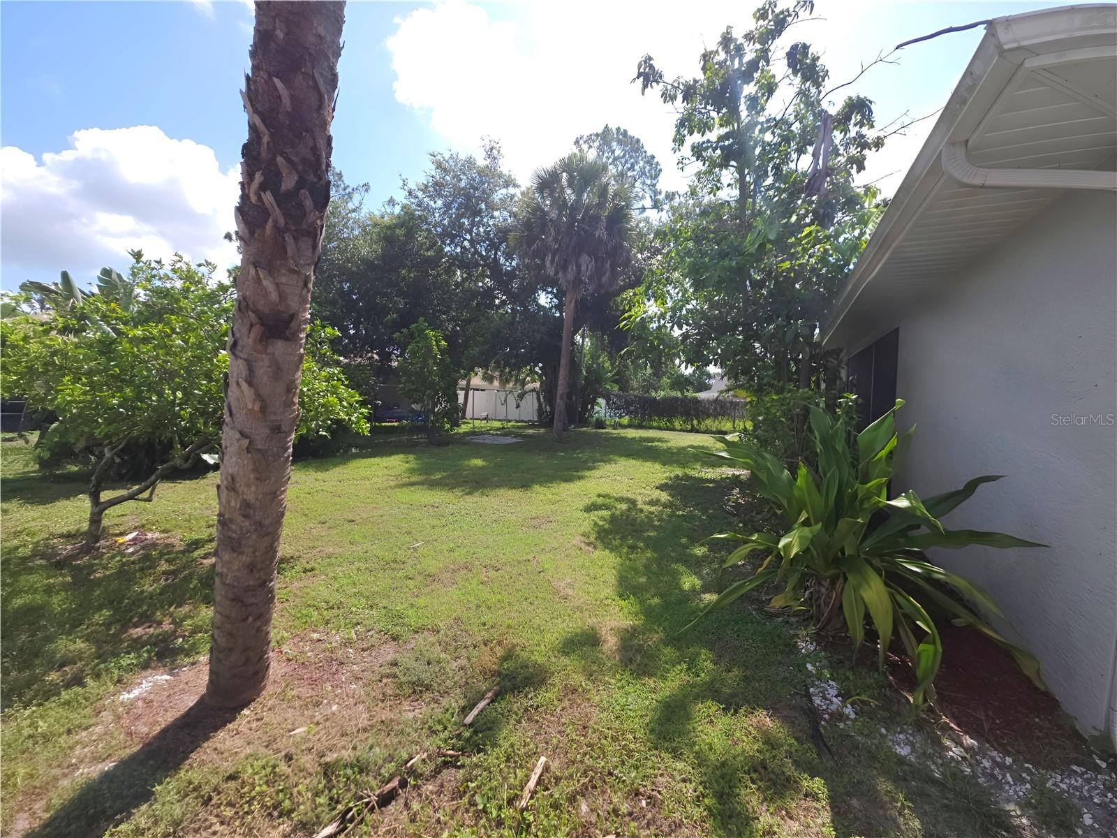 3564 LASLO AVE — photo 34