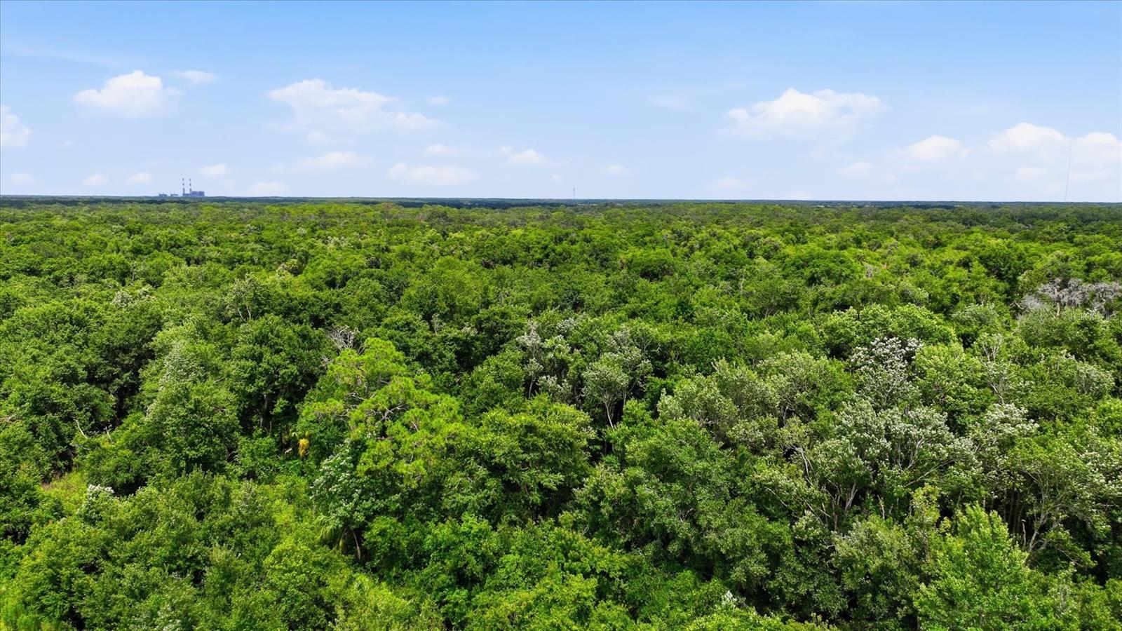13805 COUNTY ROAD 675 — photo 10