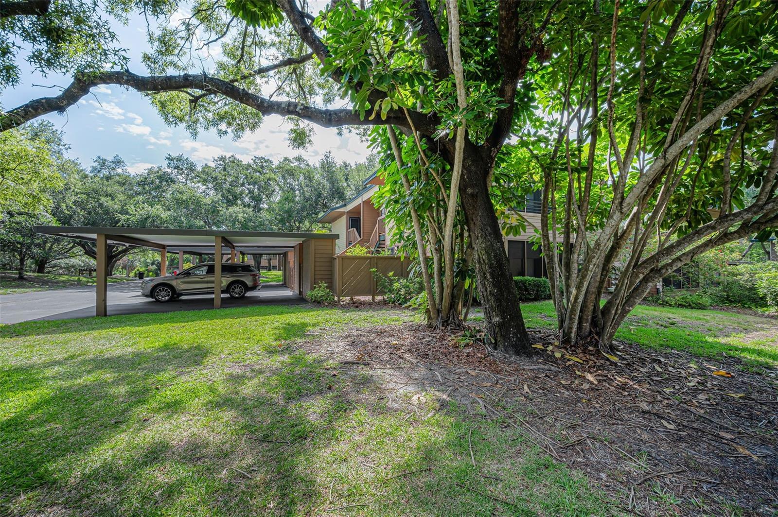 2205 LENNOX RD E #2205 — photo 40