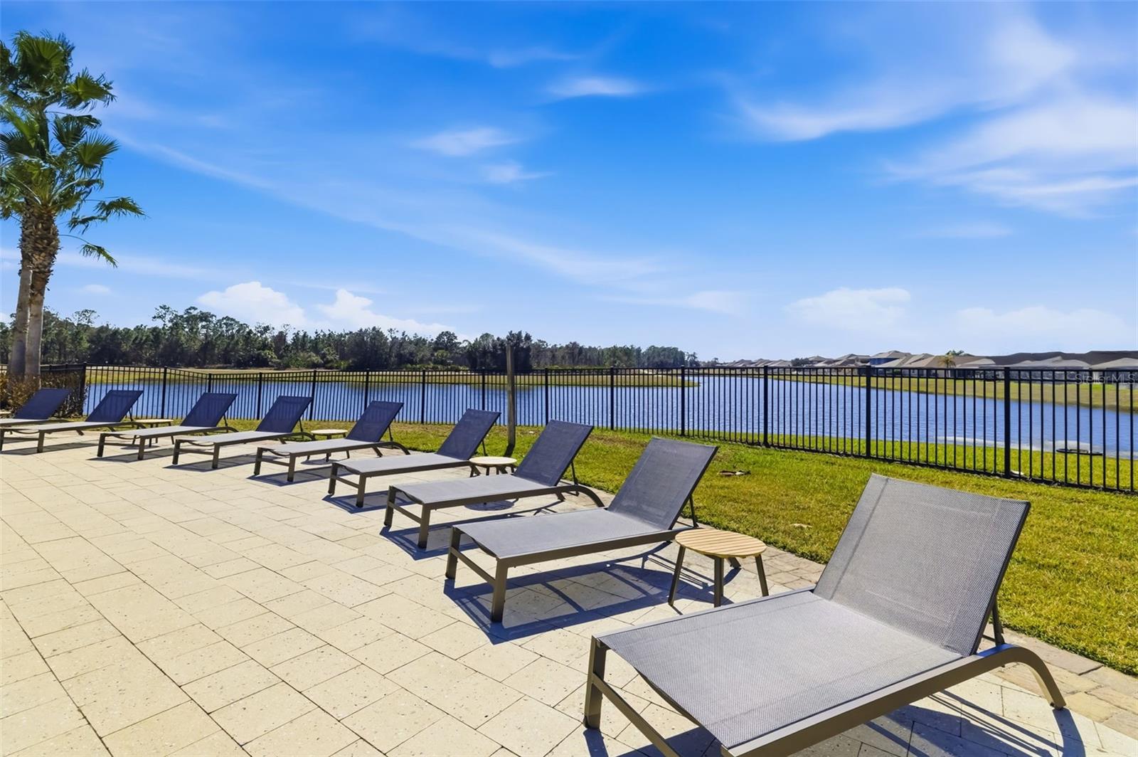 13512 PALMERA VISTA DR — photo 53