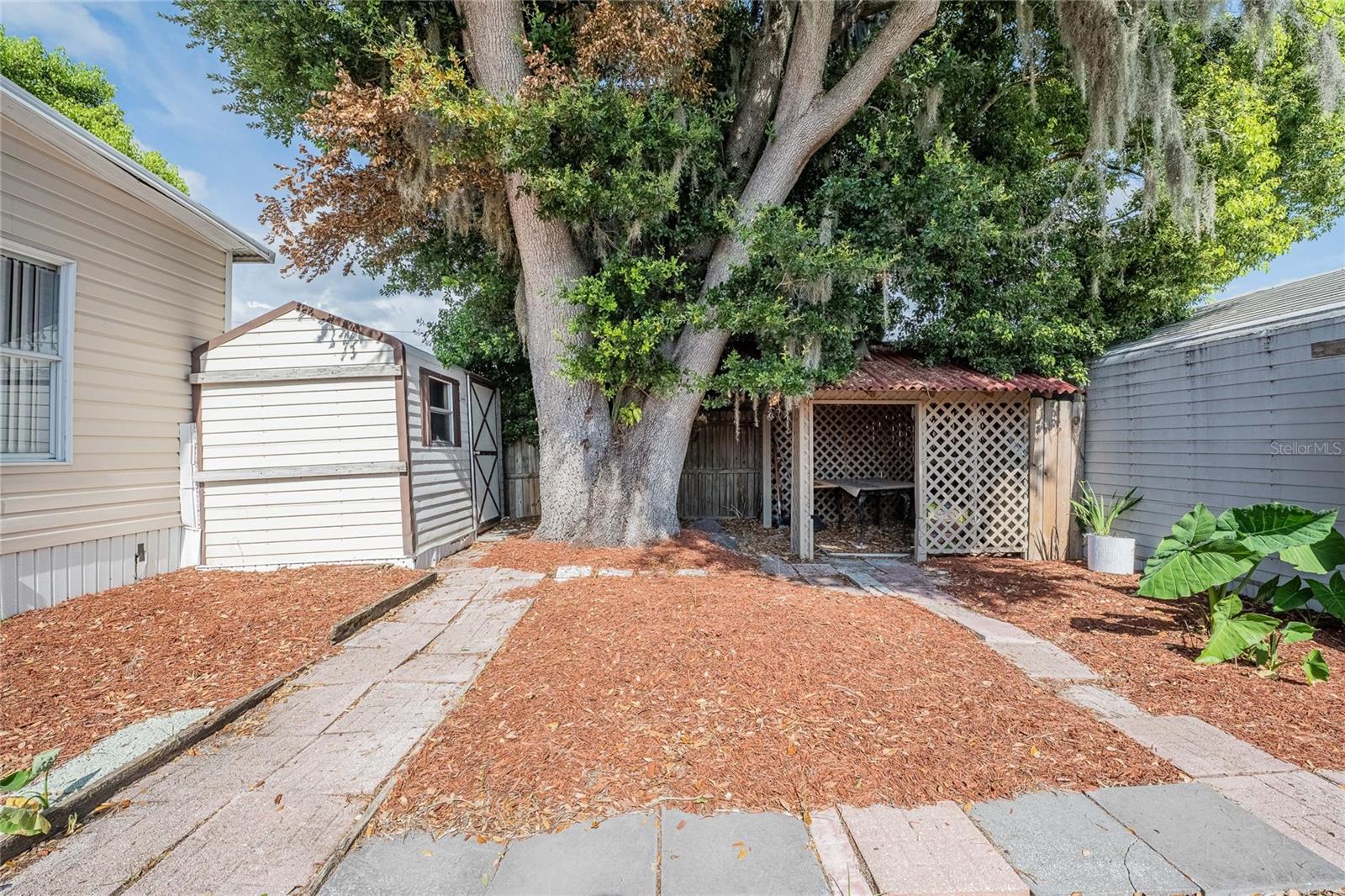 36749 JODI AVE — photo 21