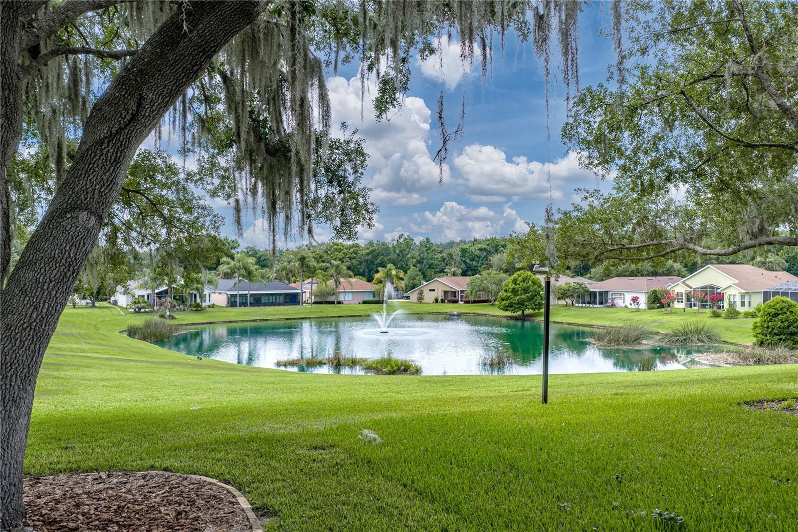 12215 WOODLANDS CIR — photo 49