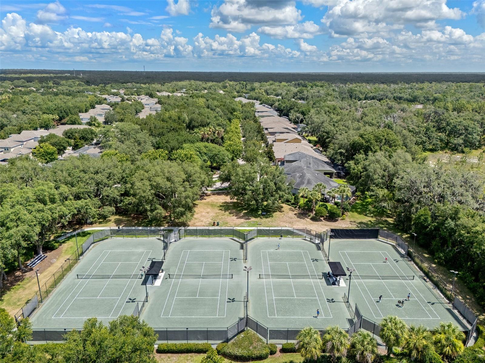15814 STARLING WATER DR — photo 42