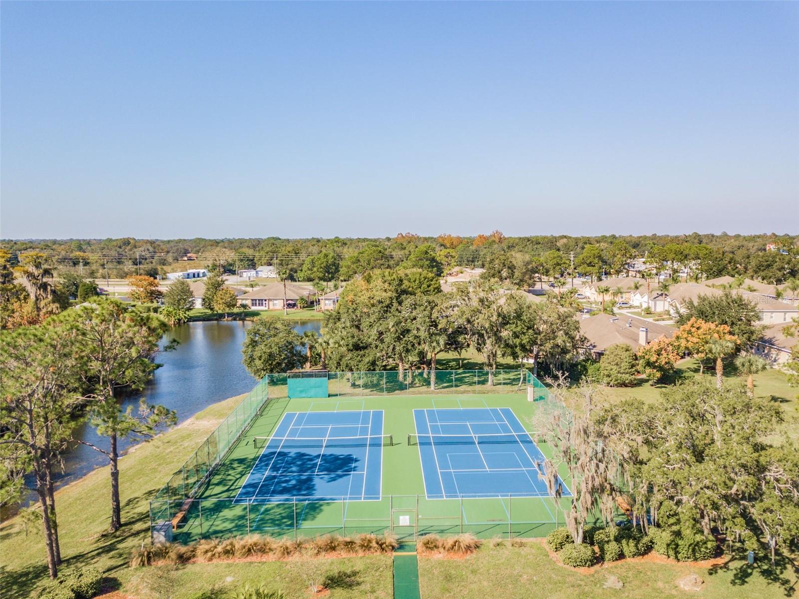 12200 PUTTER GREEN CT — photo 57