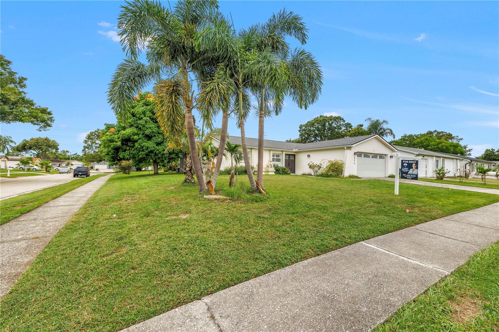 3216 PINE HAVEN DR — photo 3