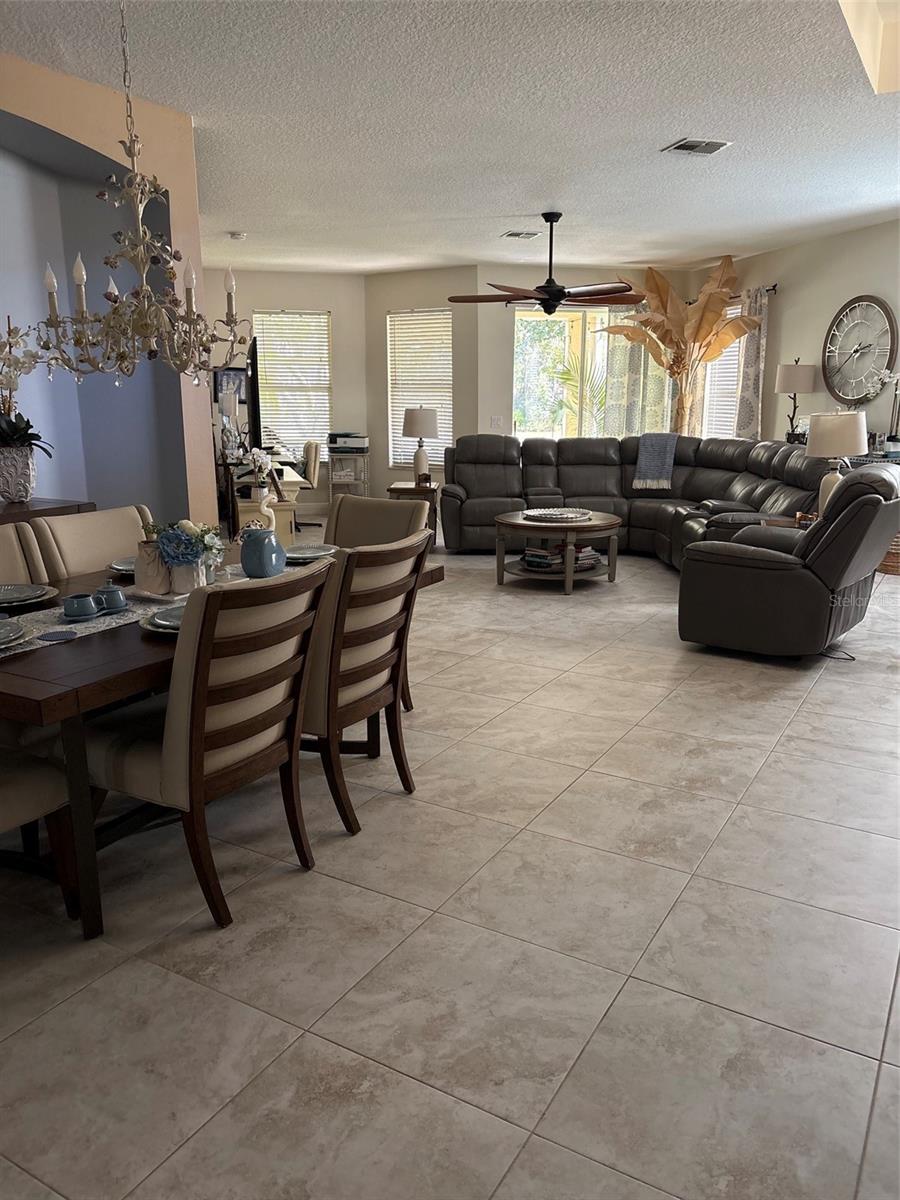 30335 LETTINGWELL CIR — photo 12