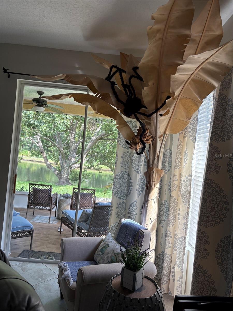30335 LETTINGWELL CIR — photo 11