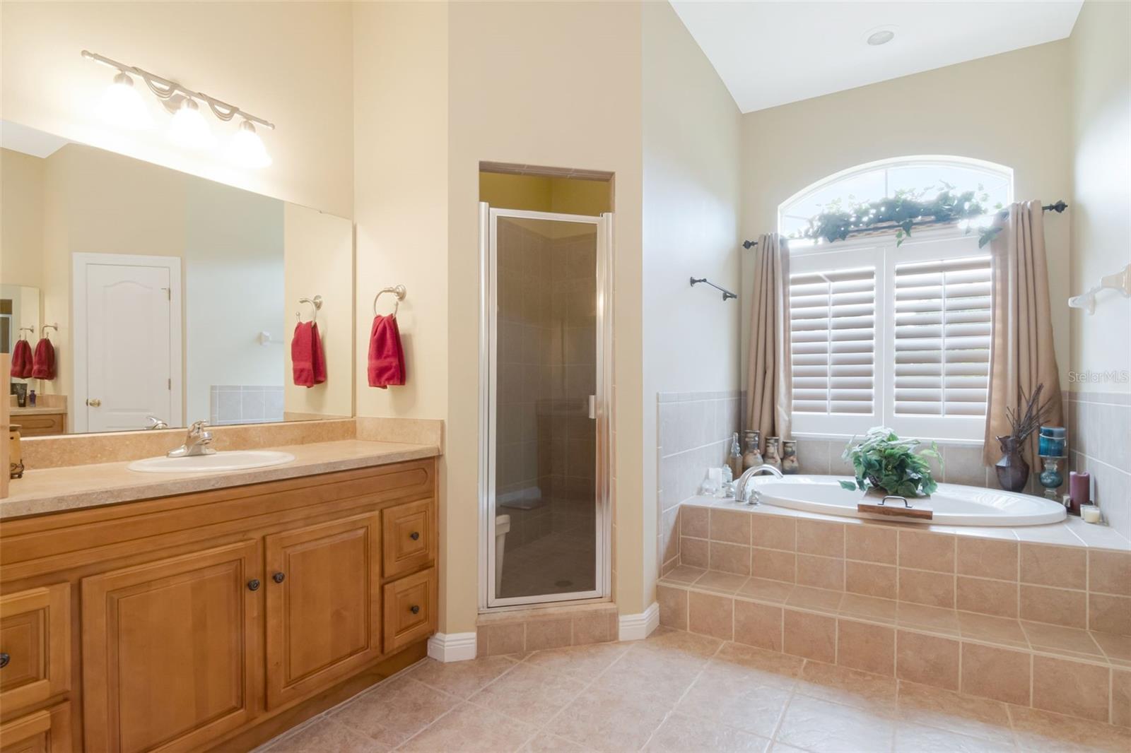3823 ANCIENT OAK TRL — photo 25