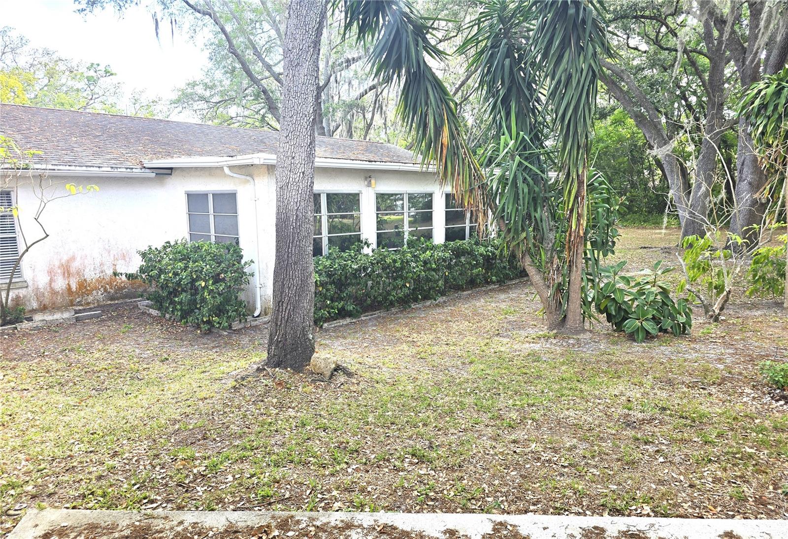10641 TIMBER LN — photo 37