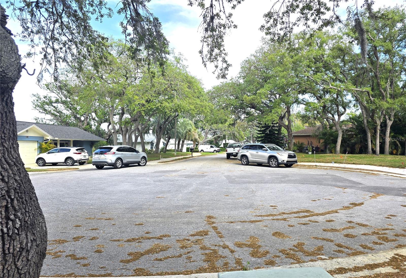 10641 TIMBER LN — photo 40