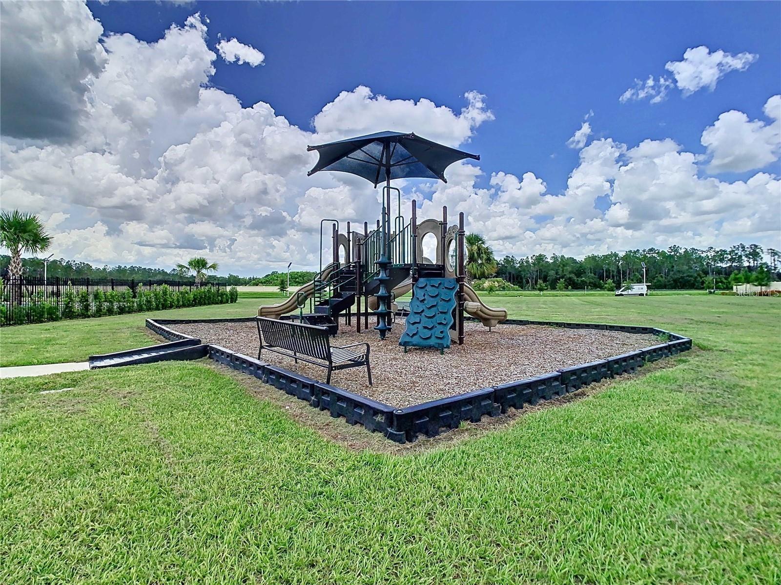 34149 SCARLET SAGE CT — photo 49