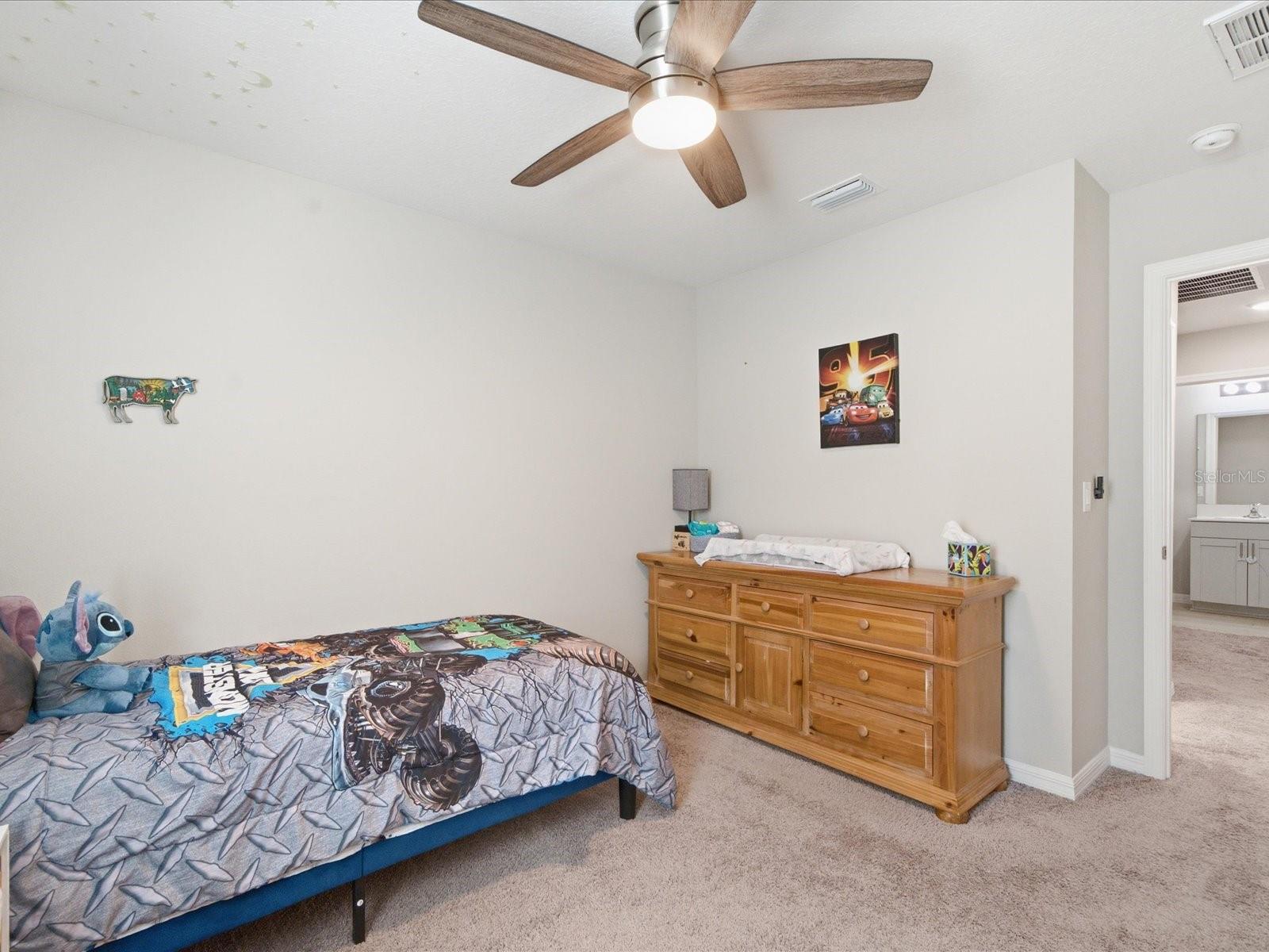 34149 SCARLET SAGE CT — photo 45