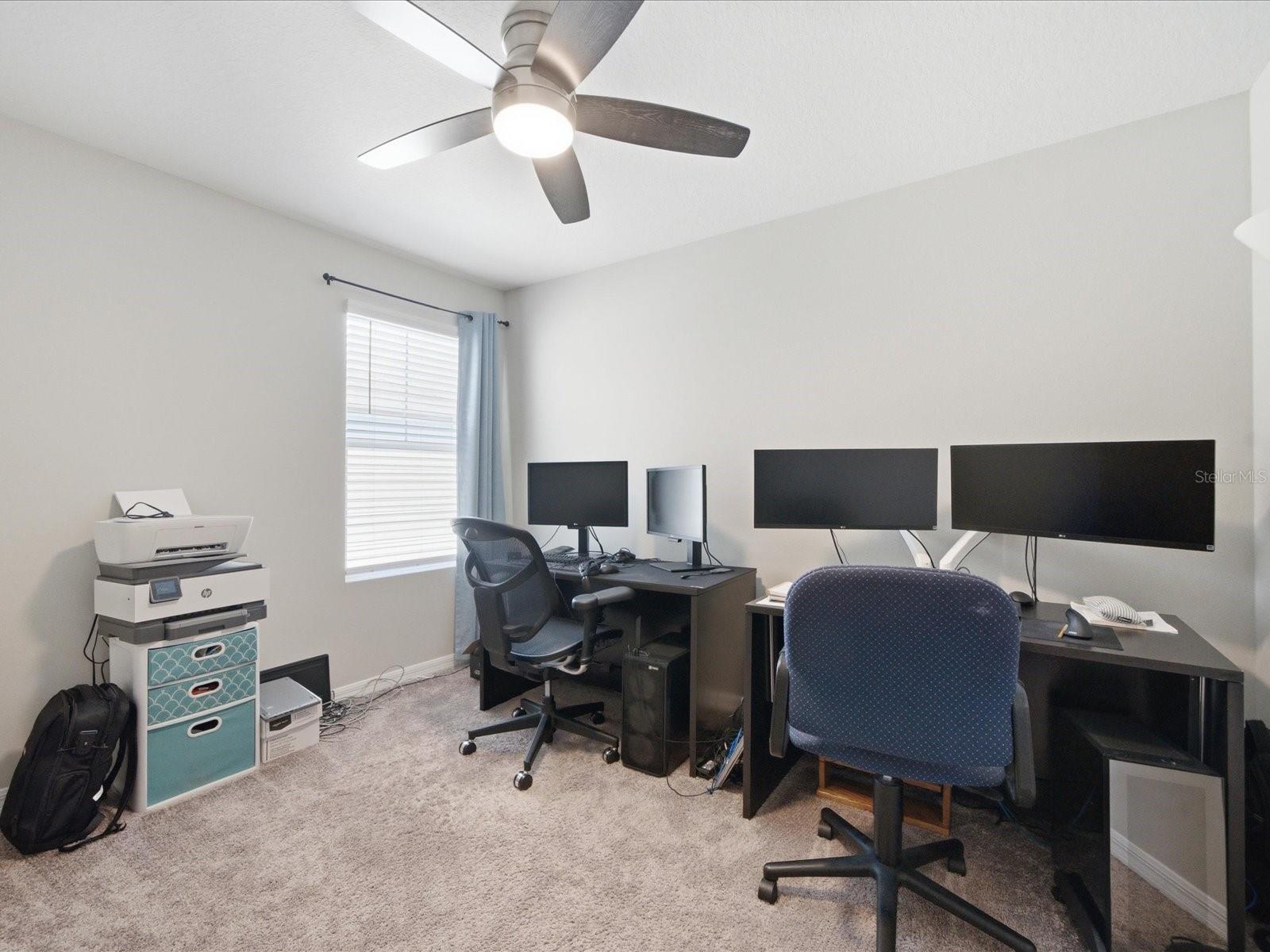 34149 SCARLET SAGE CT — photo 36