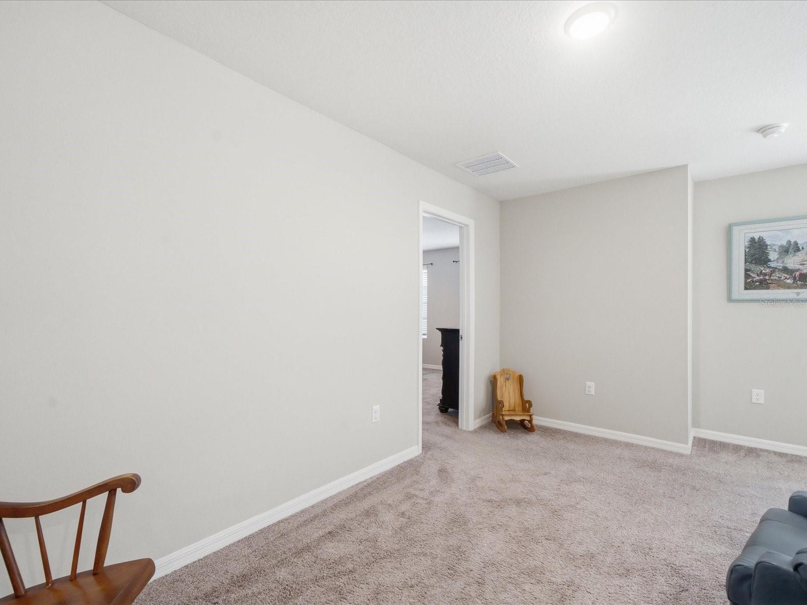 34149 SCARLET SAGE CT — photo 28