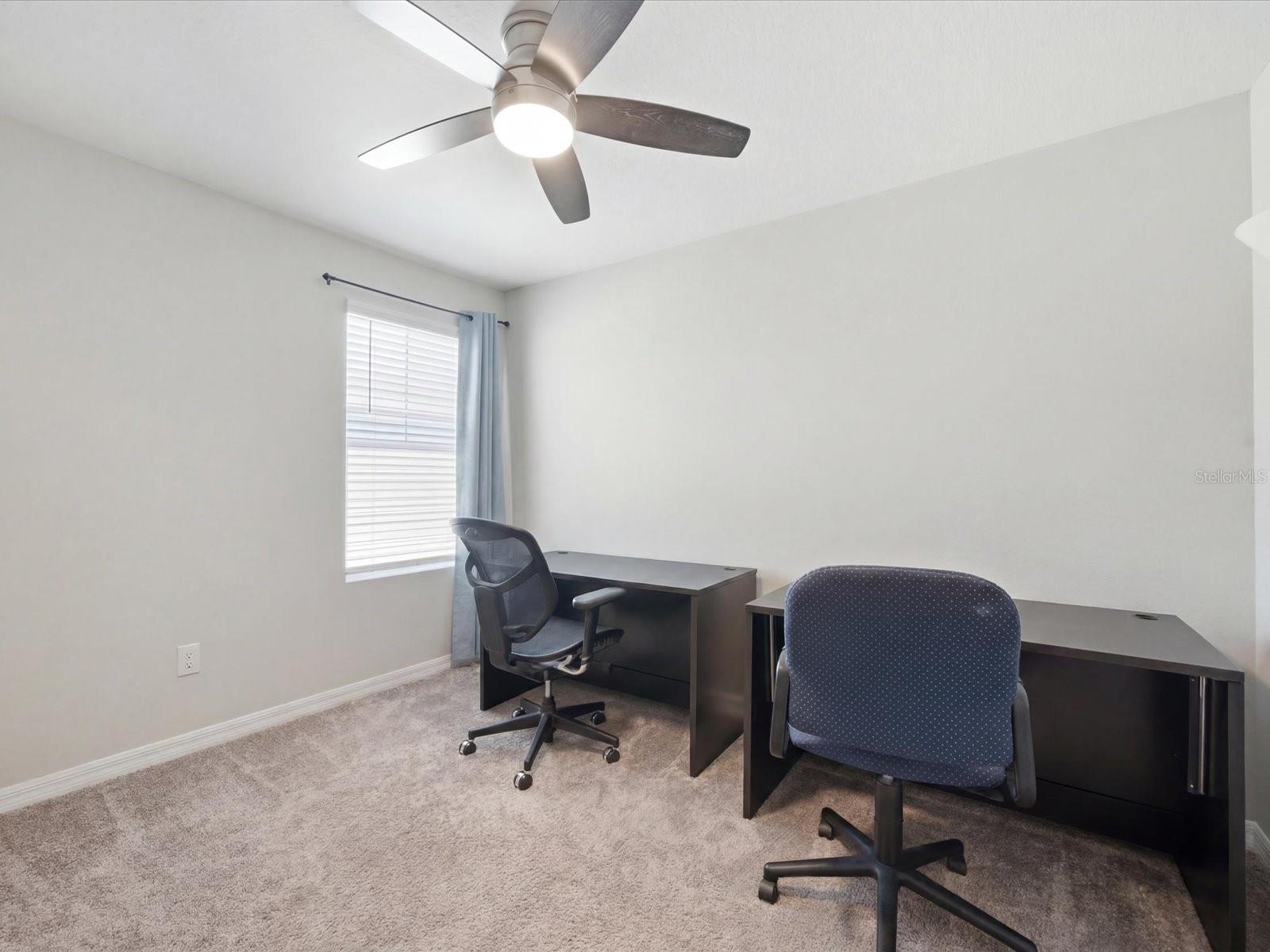 34149 SCARLET SAGE CT — photo 37