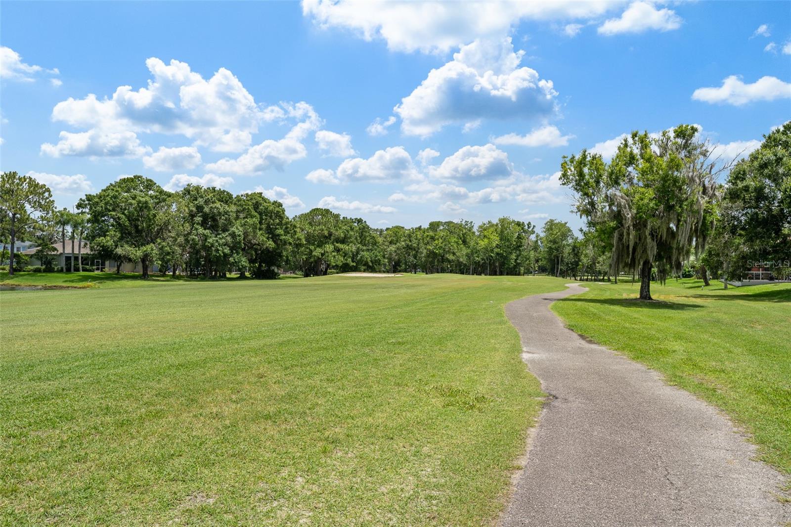 15615 SHOAL CREEK PL — photo 43