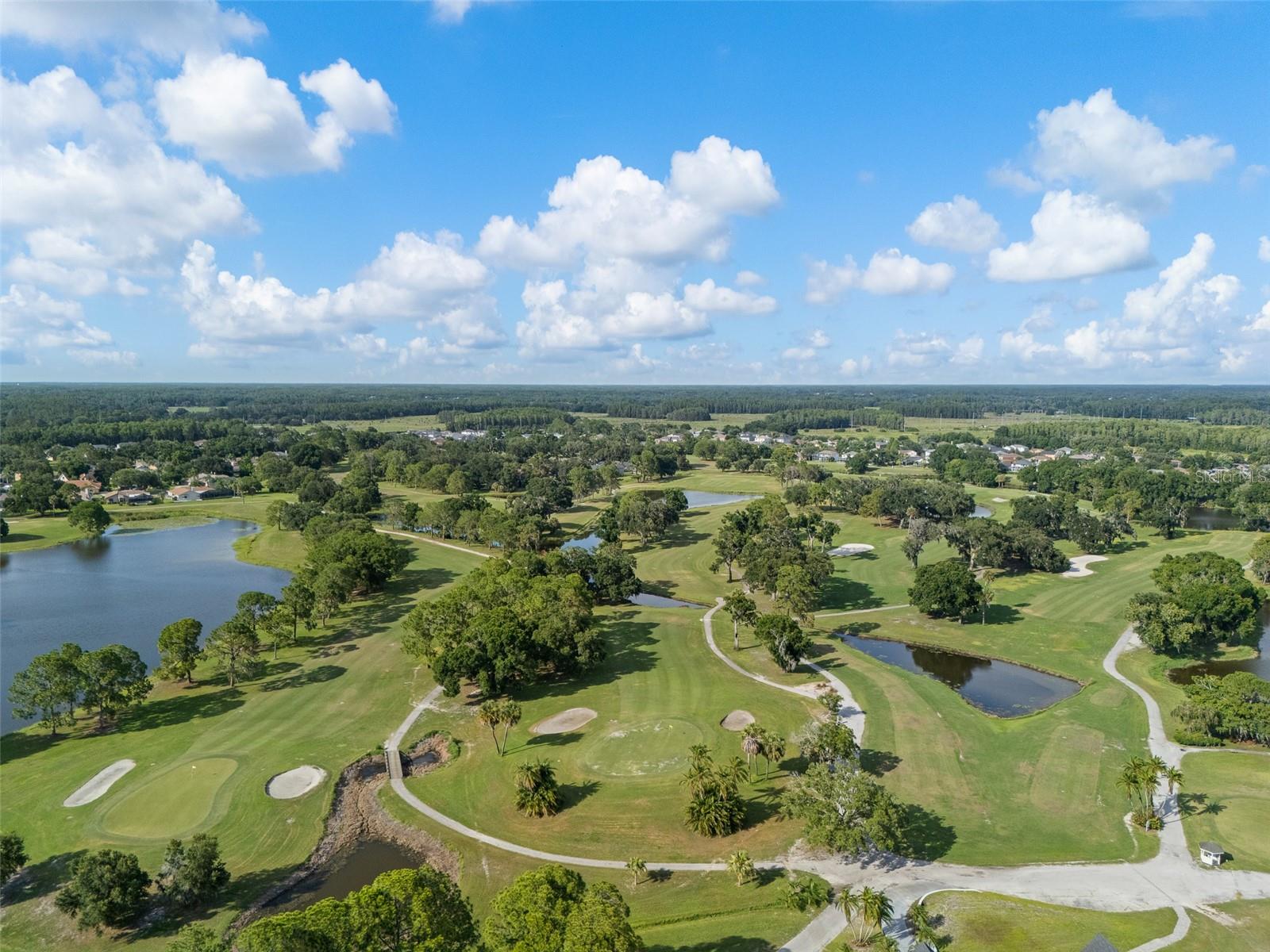 15615 SHOAL CREEK PL — photo 53