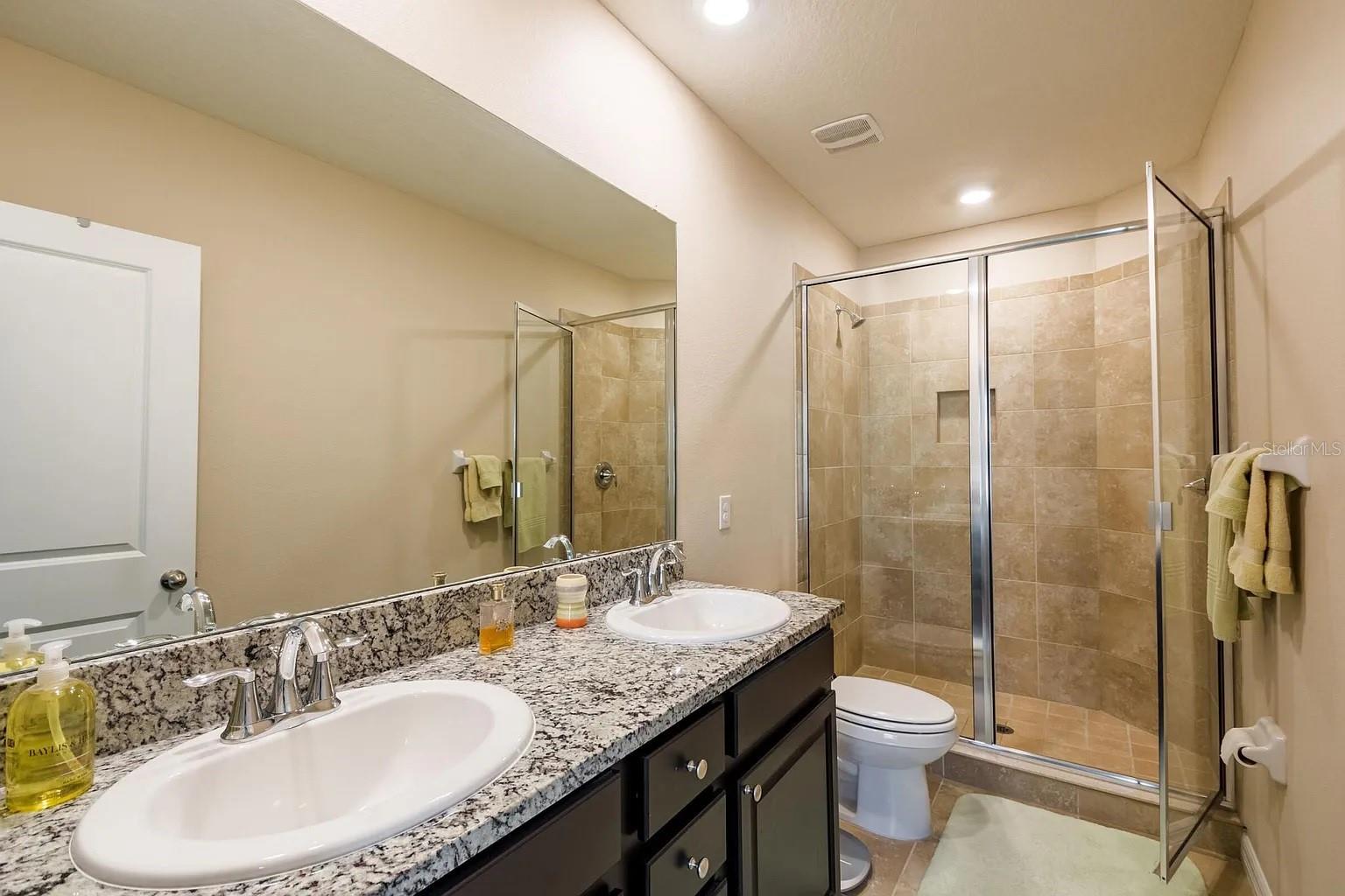 8688 ICE WINE ST — photo 11