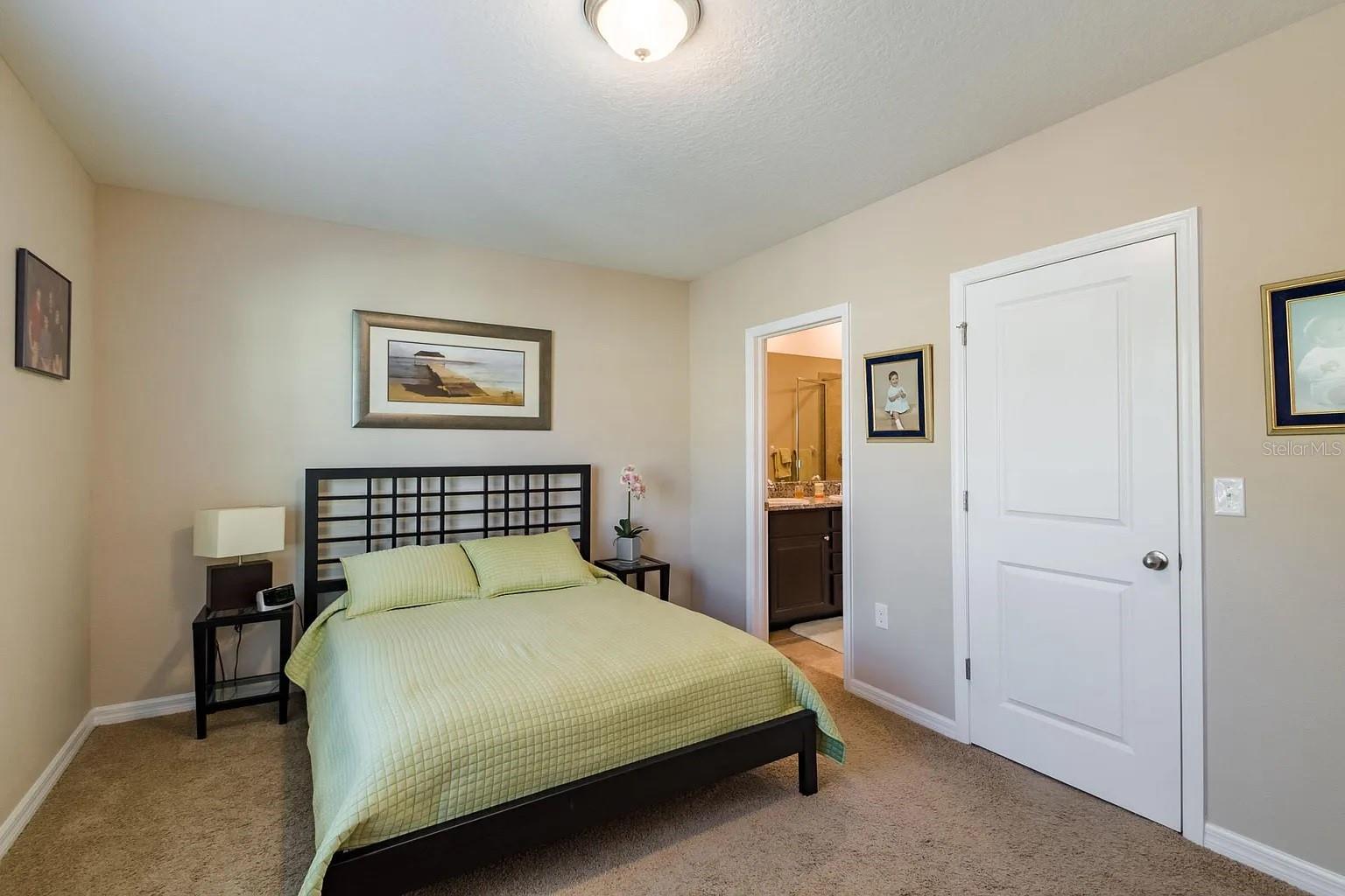 8688 ICE WINE ST — photo 12