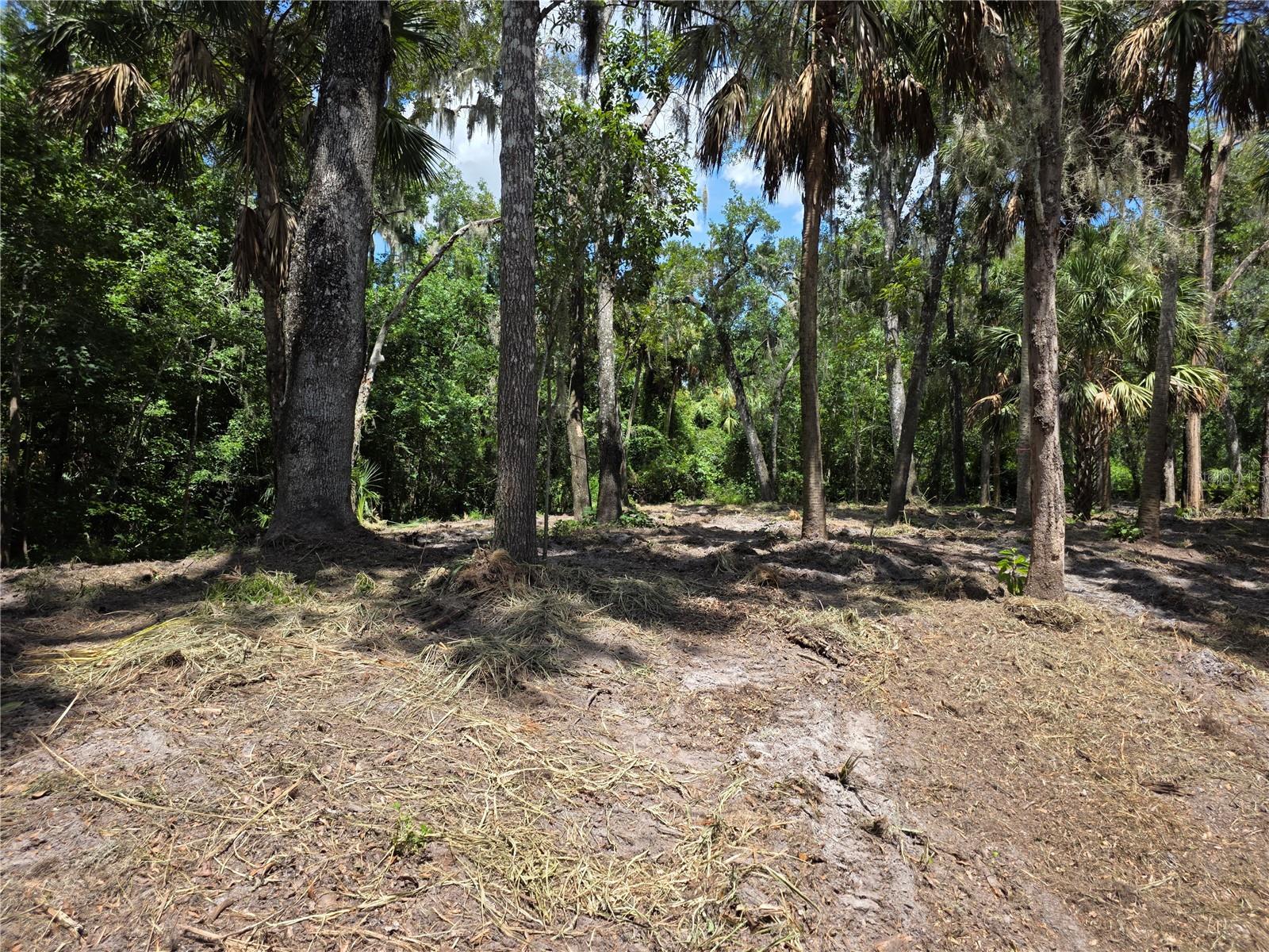 4876 RAMBLING RIVER RD — photo 8