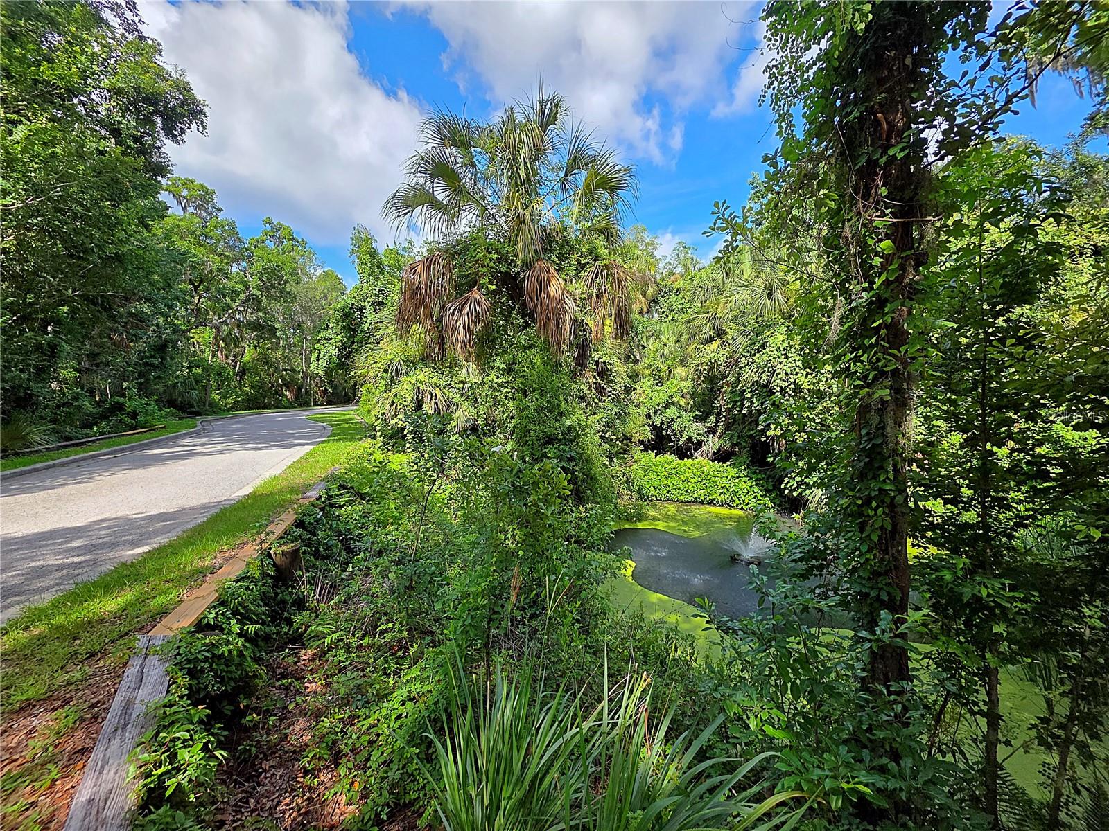 4876 RAMBLING RIVER RD — photo 10