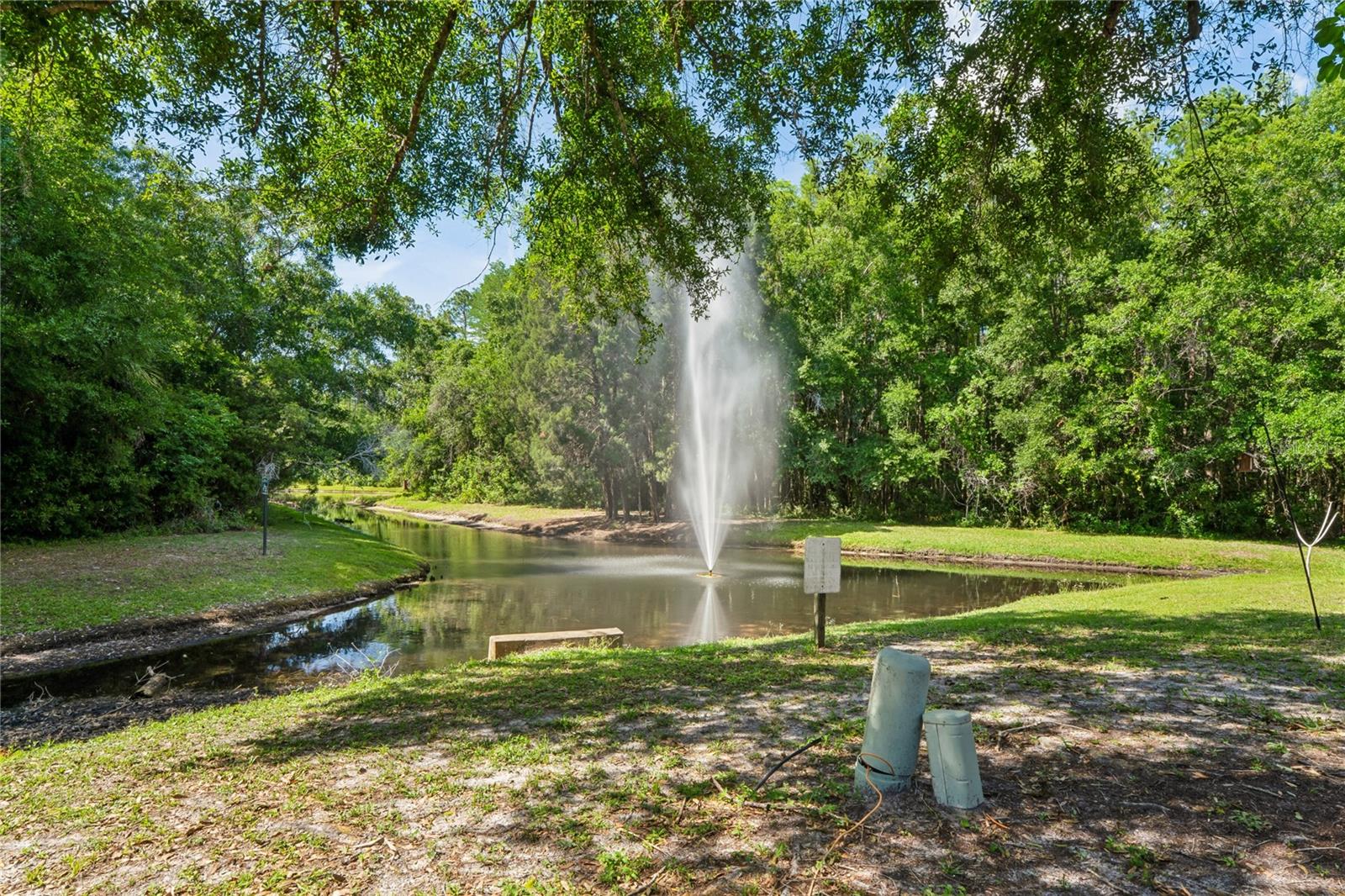 12742 WOOD TRAIL BLVD BLVD — photo 36
