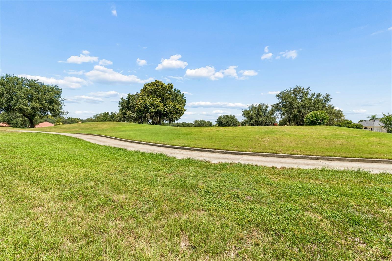 12749 GRAND TRAVERSE DR — photo 76