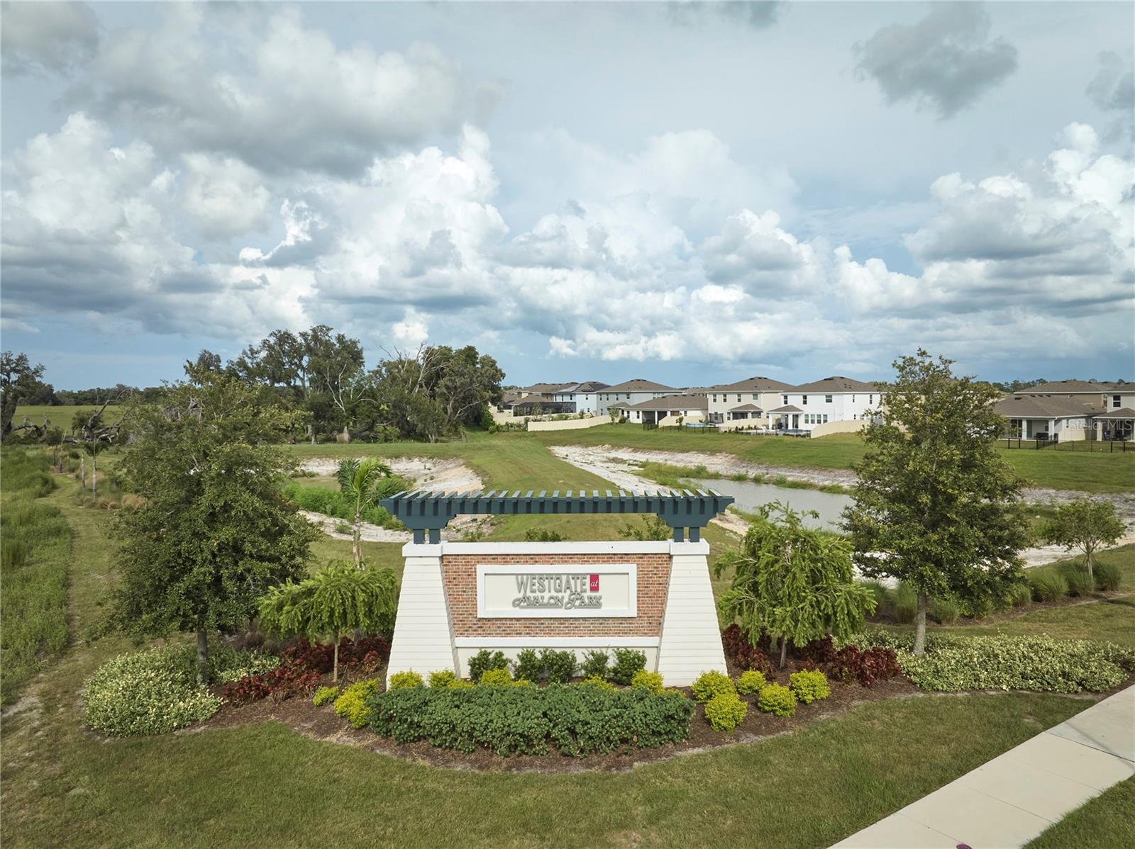 33405 DARLEY DALE TRL — photo 67