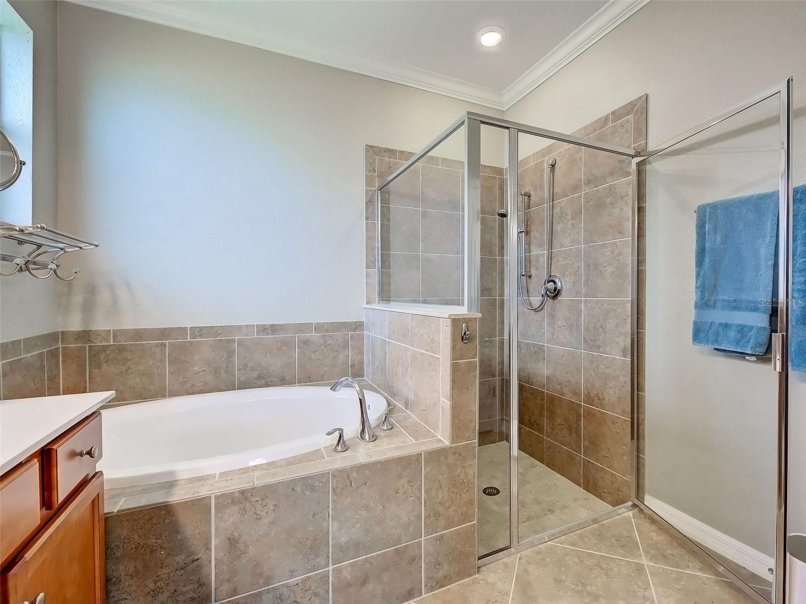 12390 CINQUETERRE DR — photo 51