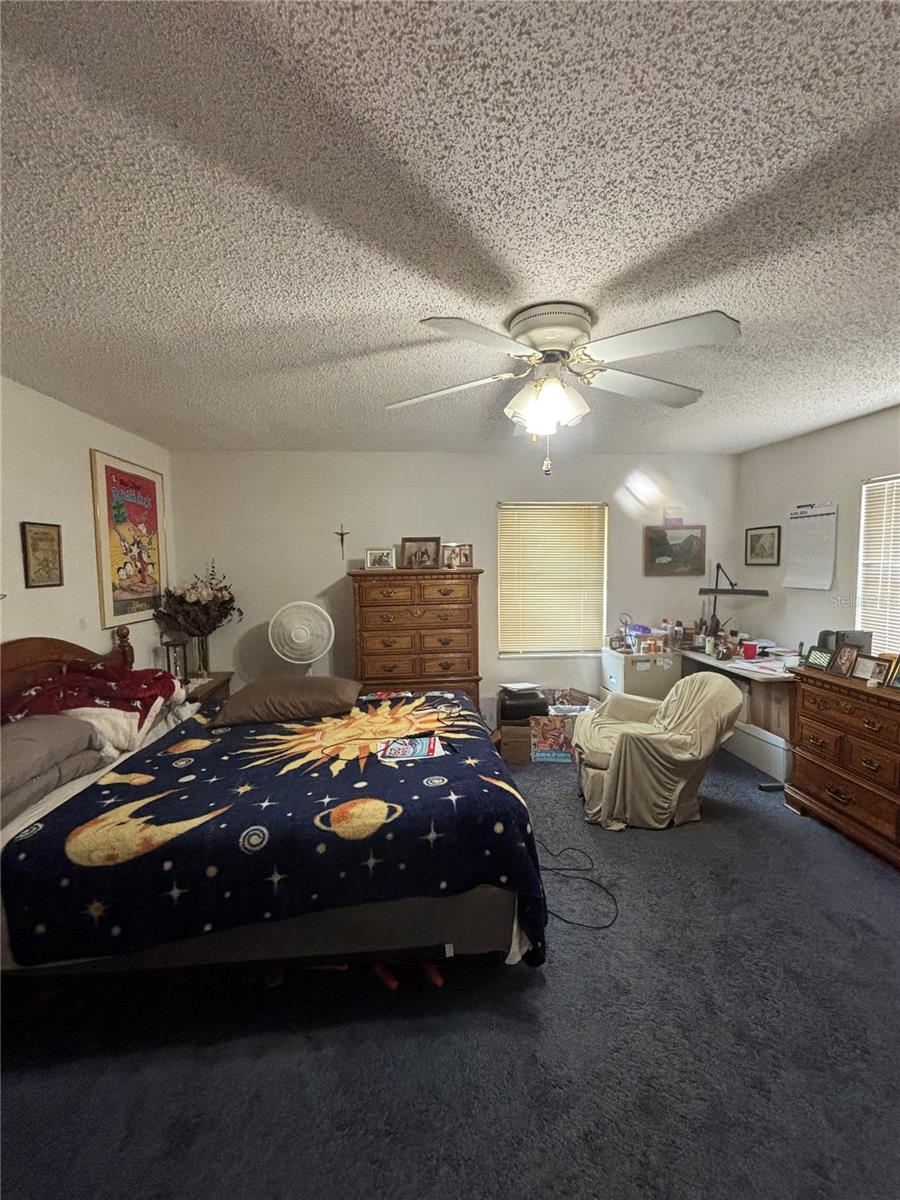13232 BLISSFIELD RD — photo 32