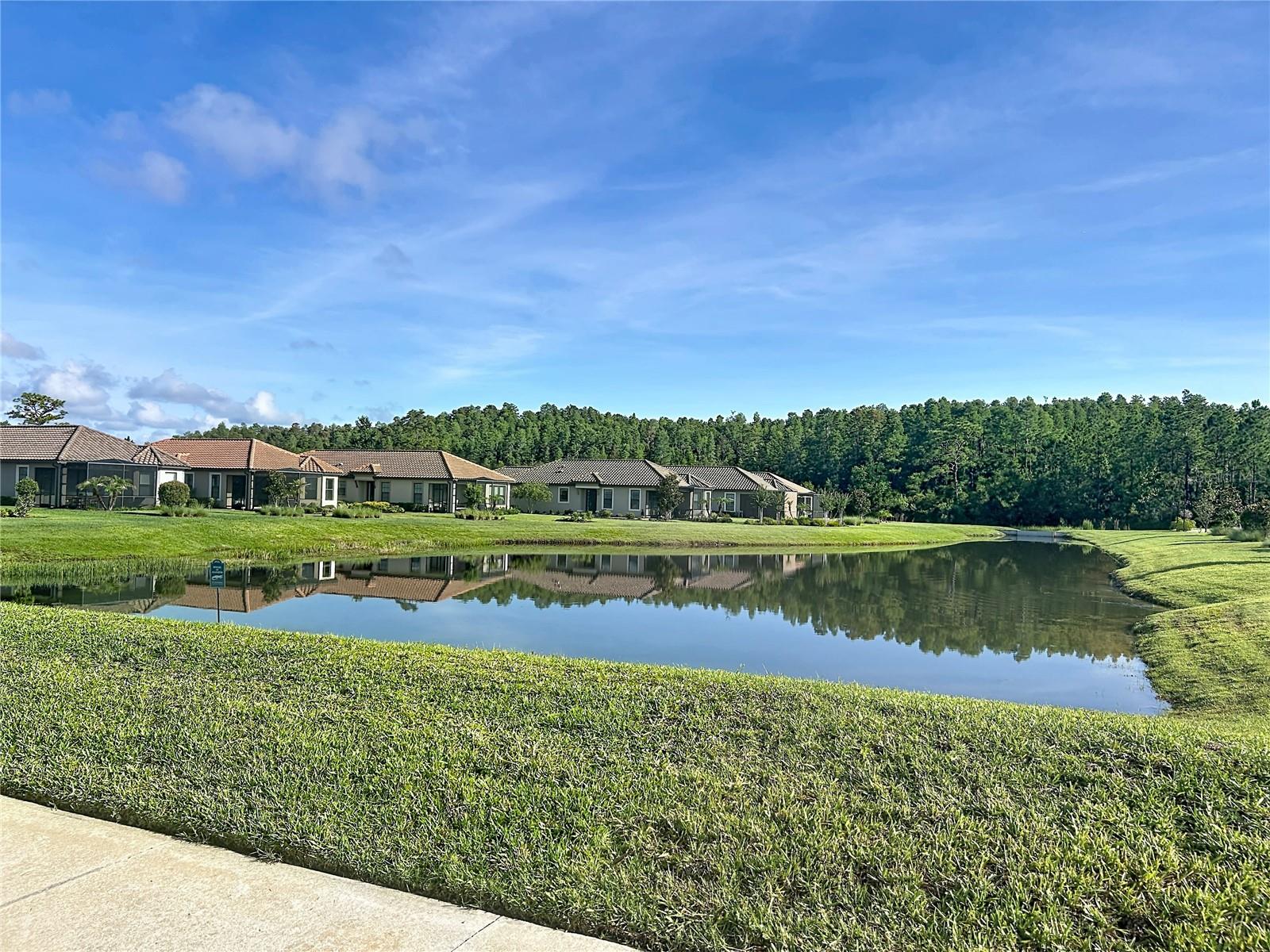 8335 ALBERATA VISTA DR — photo 33