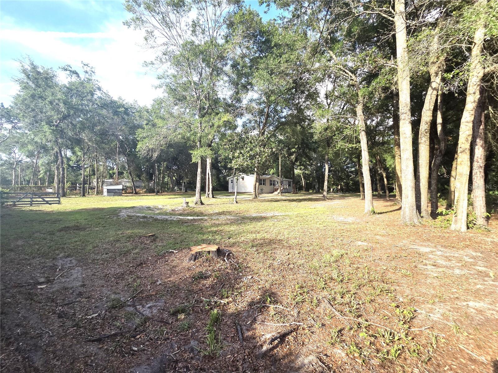 18314 DEASON DR — photo 24