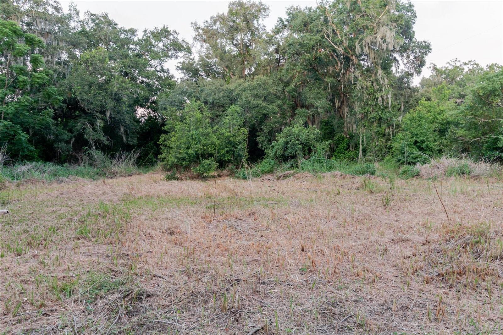 11152 GALAXY LN — photo 35