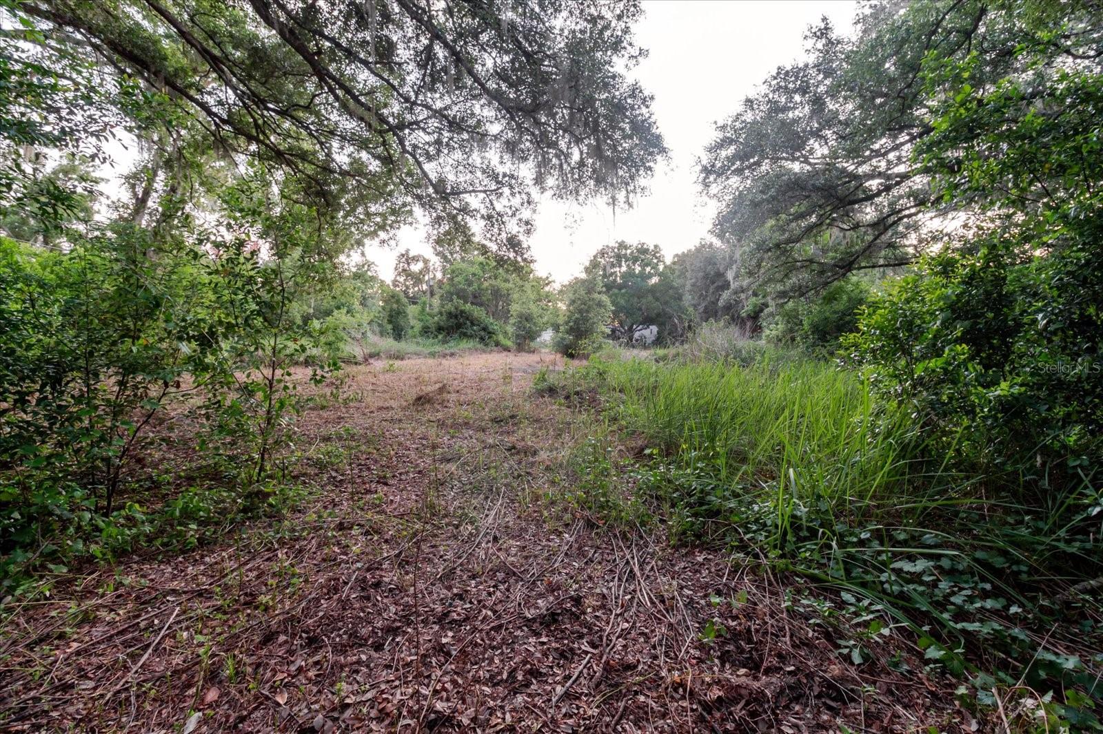11152 GALAXY LN — photo 74