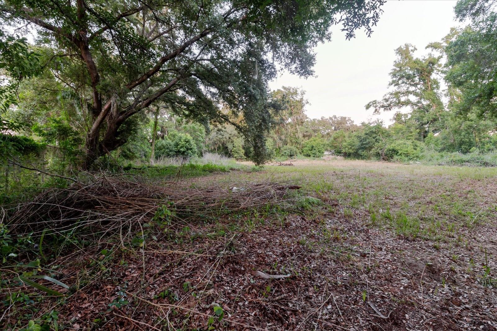 11152 GALAXY LN — photo 61