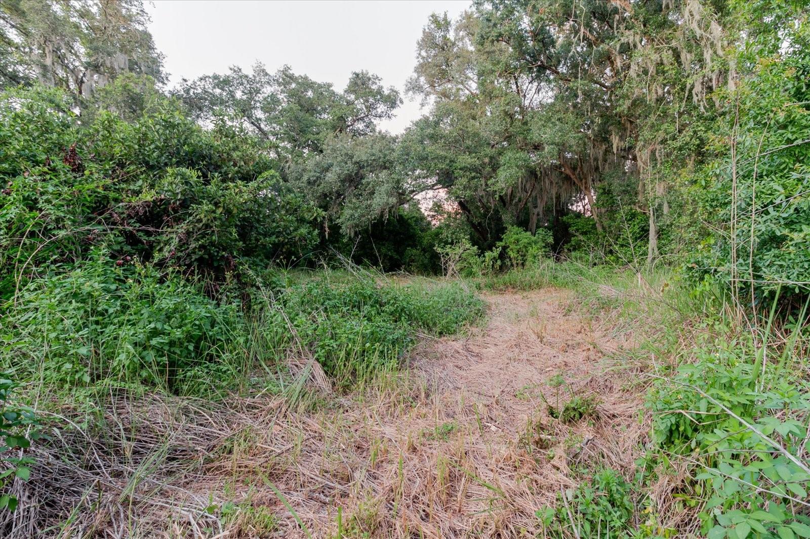 11152 GALAXY LN — photo 68