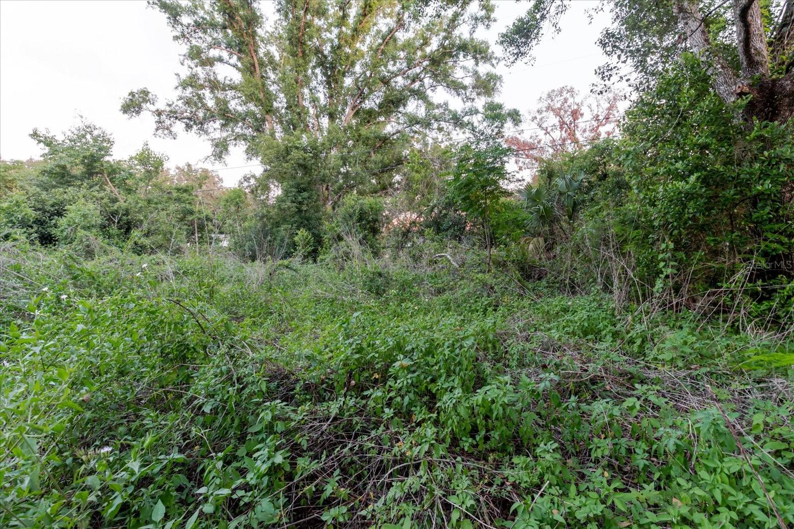 11152 GALAXY LN — photo 63