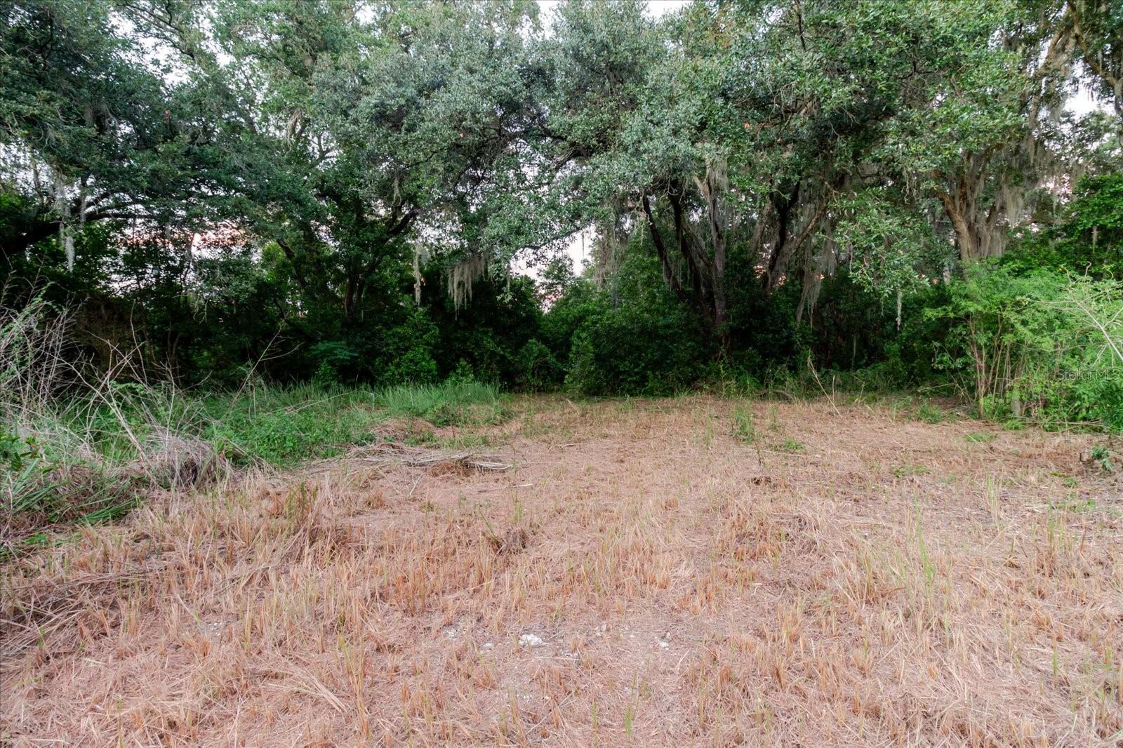 11152 GALAXY LN — photo 38