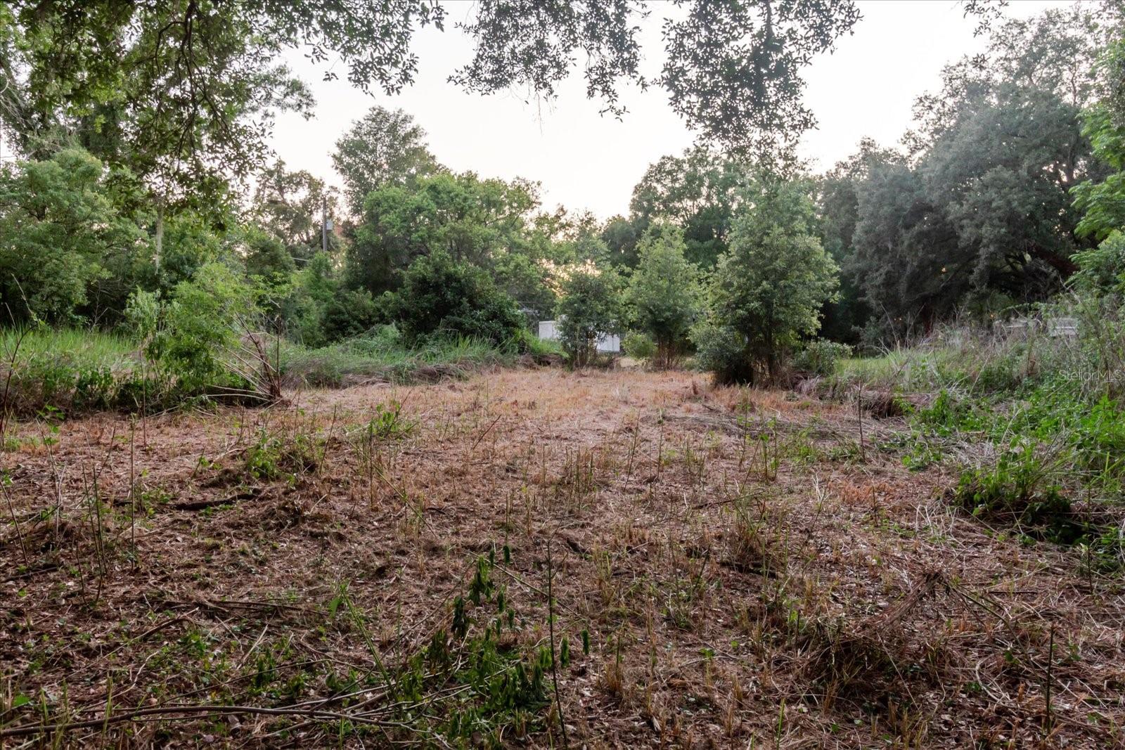11152 GALAXY LN — photo 39
